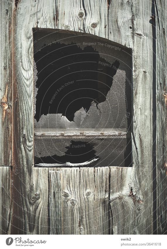 Schachmatt Fenster Gitter alt bizarr dunkel Detailaufnahme zerbrochen Reste Verfall Vergänglichkeit Fassade Zerstörung Außenaufnahme schadhaft kaputt