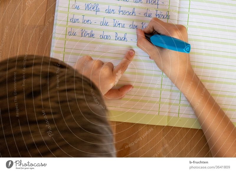Kind schreibt im Deutschheft. Hausübungen, Schulübungen Heft schreiben Feder Füllfeder Bildung Schreibstift Hausaufgabe Kindheit Papier Schüler Schulkind