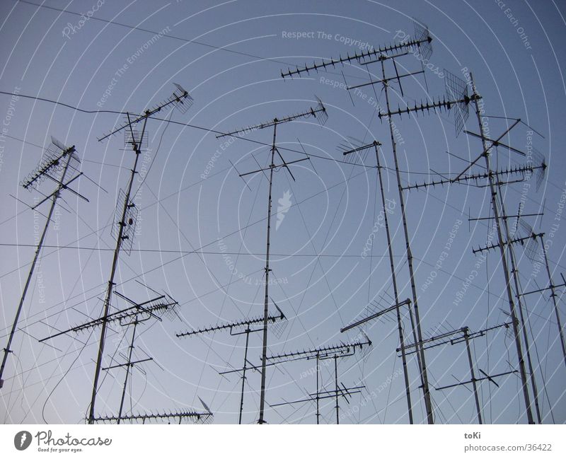 funk Antenne Nachmittag Italien Sonnenuntergang Fernseher Elektrisches Gerät Technik & Technologie Kommunizieren blau Himmel Netz Provinz Brindisi süditalien
