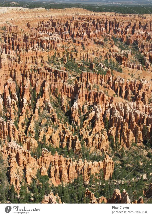 Bryce Canon USA Urlaub Ferien & Urlaub & Reisen Himmel Natur Canyon Felsen Schlucht Nationalpark Stein Amerika Berge u. Gebirge Aussicht Panorama
