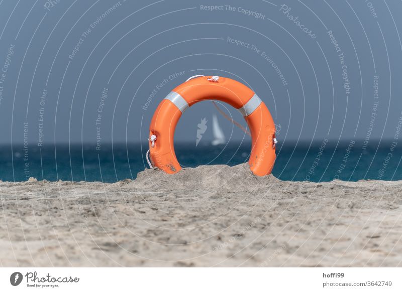 Der Blick durch den Rettungsring auf das Segelboot ist leicht verschwommen Rettungsgeräte Sandstrand Rettungsschwimmer Lebensrettung Segeln Wasser Meer