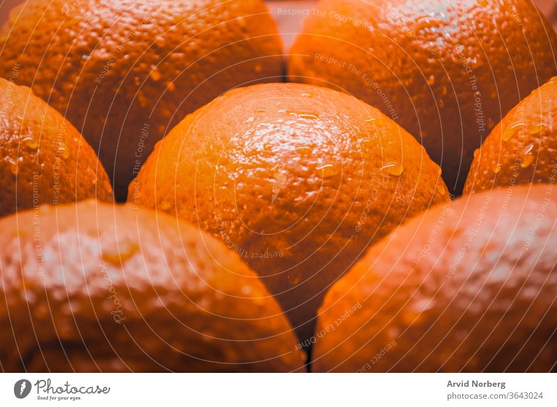 Nahaufnahme von mehreren Orangen mit Wassertröpfchen Hintergrund hell Zitrusfrüchte Farbe Tropfen Lebensmittel frisch Frische Frucht Früchte grün Gesundheit