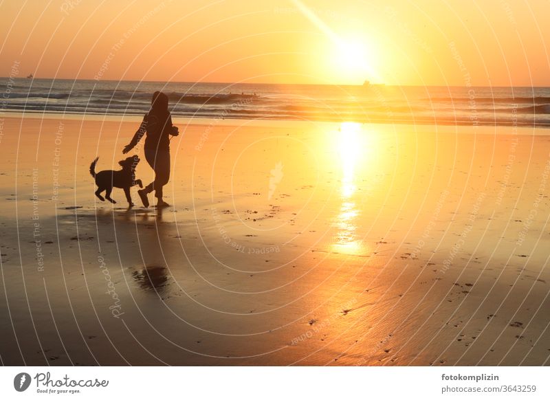 Frau mit Hund am Strand beim Sonnenuntergang Mensch und Hund Spaziergang Sonnenuntergang am Strand Sonnenuntergangsstimmung Meer Sonnenuntergangslicht