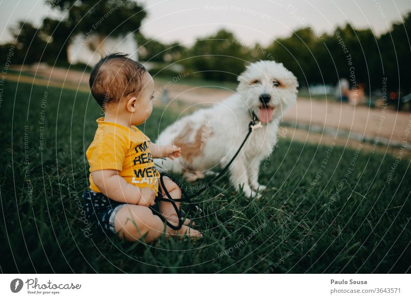 Baby und Hund im Park Zusammensein Zusammengehörigkeitsgefühl Haustier Freundschaft Freunde Lifestyle Kaukasier Liebe schön jung Lächeln niedlich Glück Garten