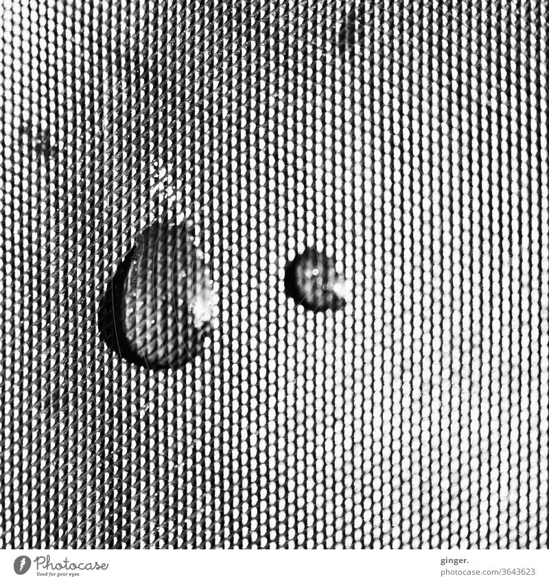 Tropfen auf Folie s/w - Just a little bit sad Schwarzweißfoto Dinge Strukturen & Formen Wasser Regen Makroaufnahme Außenaufnahme Reflexion & Spiegelung