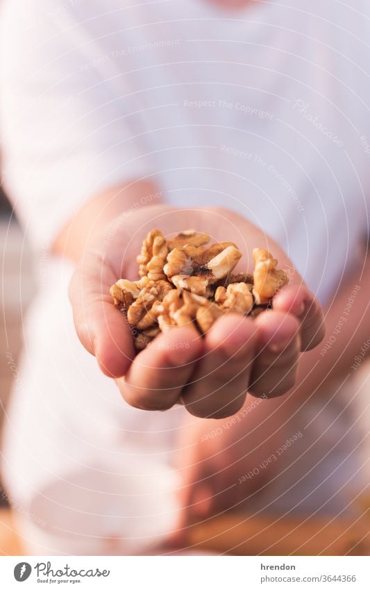 Hand voller Nüsse Nut satt Walnussholz Haselnuss Gesundheit Mandel Person Makro Vegetarier Bestandteil Handvoll weiß Handfläche getrocknet Beteiligung essen