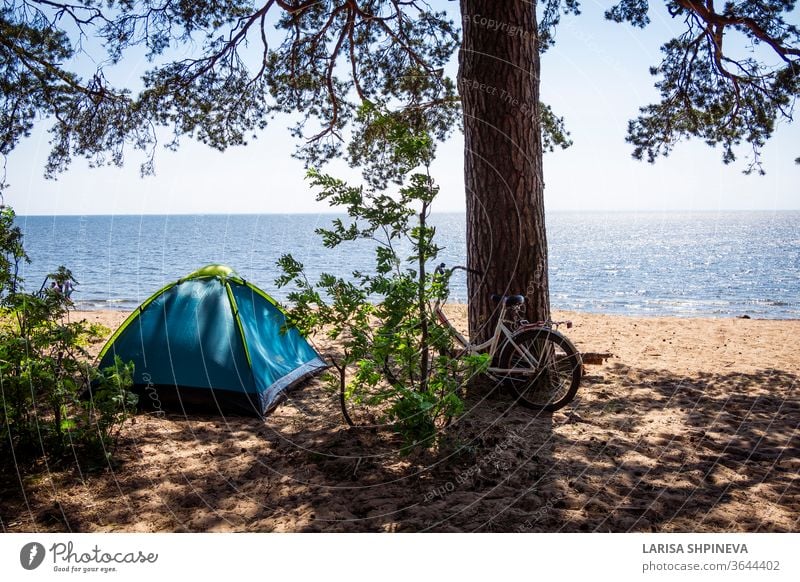 Camping, Zelt und Fahrrad am Strandmeer unter dem Kiefernwald am Ufer des Finnischen Meerbusens, St. Petersburg, Russland. Konzept der Outdoor-Aktivitäten, gesunder Lebensstil