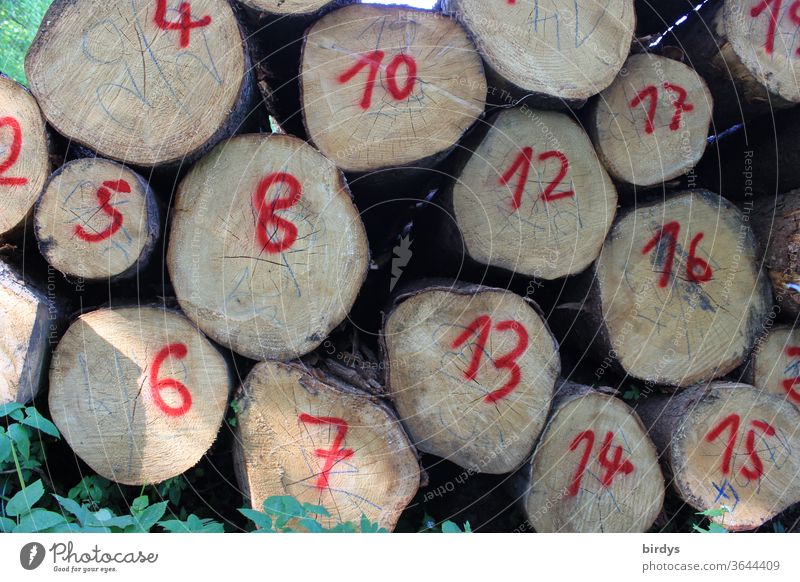 Zahlen auf gestapelten Baumstämmen. Nummerierte Baumstämme. rot Holz Forstwirtschaft Holzwirtschaft Zahlenfolge Hirnholz rote Zahlen Ziffern & Zahlen Tag