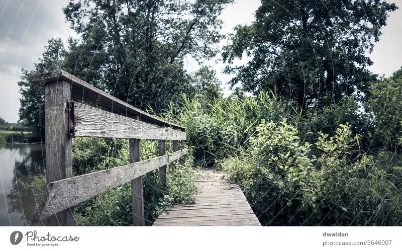 Einsame Holzbrücke Brücke Außenaufnahme Farbfoto Menschenleer Tag Natur Wasser Pfosten Schatten Landschaft Umwelt Wege & Pfade See Ferien & Urlaub & Reisen Steg