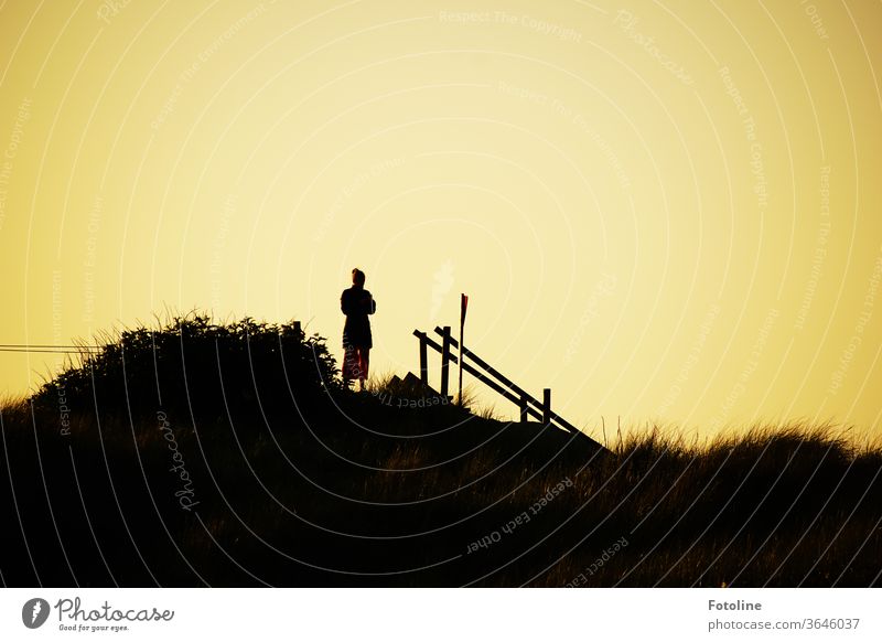 Beim Sonnenuntergang schnell mal was auf Instagram posten - oder eine junge Frau steht im Sonnenuntergang auf der Düne und checkt ihr Handy Helgoland Geländer