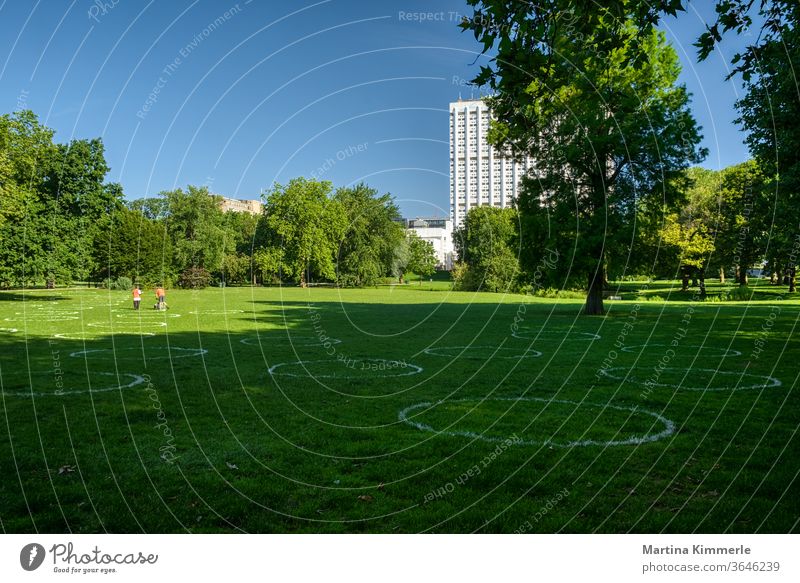 Kreidekreise auf dem Rasen in einem Park zur Einhaltung des Mindestabstands. Soziale Distanzierung. Corona, Covid19 in Rotterdam. Abstand halten Aktivität Baum