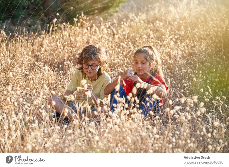 Zehnjähriger Junge und Mädchen gehen auf dem Land aktiver Lebensstil zwischen Zwei Personen Schwester Ruhe Lächeln Sitzen Kinder Sonnenlicht Landschaft Tag