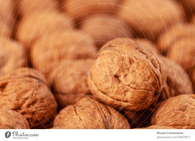 Nussbaum auf Holzuntergrund Walnussholz Snack Nut geknackt Diät natürlich Natur Kernel braun Lebensmittel Nussschale Panzer Hintergrund Gesundheit offen Frucht