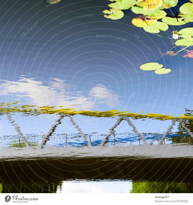 Spiegelbild der Schwaaner Brücke über die Warnow mit ein paar Seerosenblättern Spiegelung Reflexion & Spiegelung Wasser Farbfoto Außenaufnahme Menschenleer