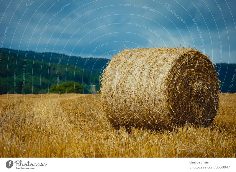 Weizen- Ballen aufgerollt in einem abgeernteten Feld, in einer wunderschönen Fränkischen Landschaft blauer Himmel grüner Wald. Weizenfeld Kornfeld Farbfoto