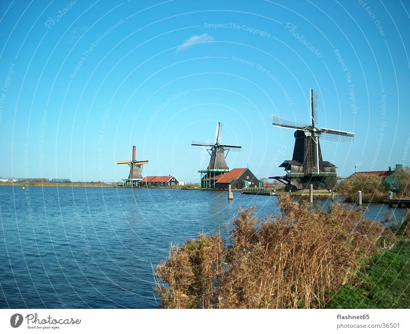 Windmühlen Niederlande Architektur