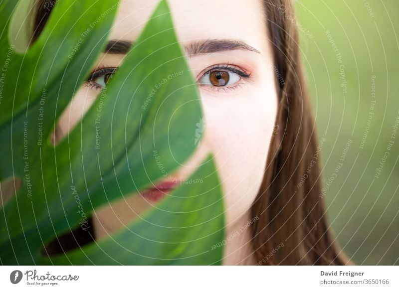 Schöne natürliche junge Frau in Nahaufnahme hinter einem großen Monsterblatt mit grünem Hintergrund in den Wäldern. Haut schön Mädchen Schönheit Gesundheit