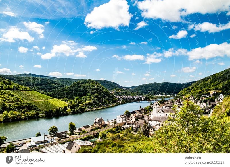 wein wandern Wege & Pfade Hunsrück Moseltal Weinbau Rheinland-Pfalz Mosel (Weinbaugebiet) Weinstock Weinberg Weintrauben Weinrebe Landschaft Berge u. Gebirge