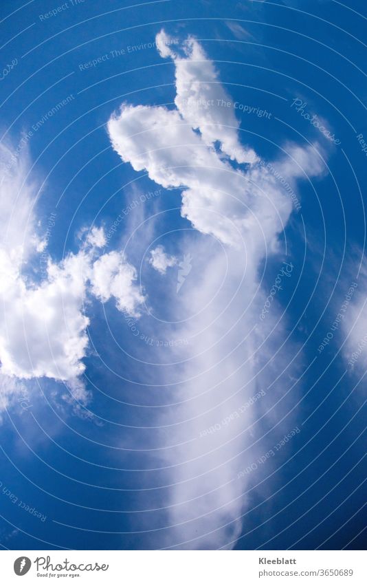 Weiße Wolke am dunkelblauen Himmel in der Form eines Engels mit ausgebreiteten Flügeln Wolkenformation dunkelblauer Himmel Wolkenhimmel Schönes Wetter Umwelt