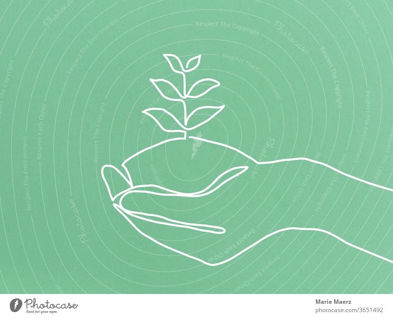 Nachhaltig wachsen - Linienzeichnung einer Hand, in der eine Pflanze wächst nachhaltig Wachstum Natur grün natürlich Umwelt Nahaufnahme positiv Geduld