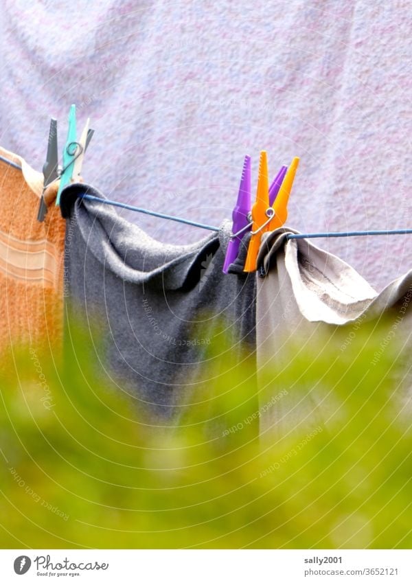 Waschtag in Nachbars Garten... Wäsche Wäscheklammer Wäscheleine aufhängen Handtuch Leine Hecke hinter der Hecke drüberschauen bunt waschen trocknen Haushalt