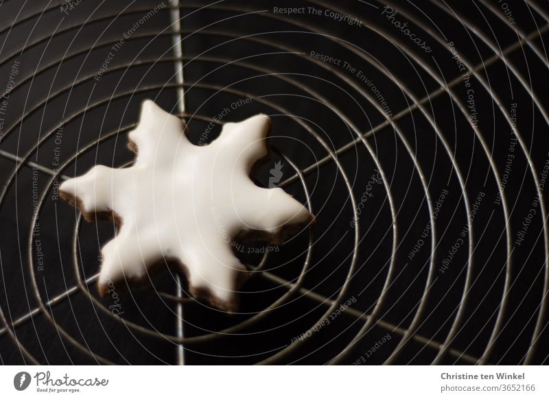 Symmetrie | selbstgebackenes Weihnachtsplätzchen in Form einer weißen Schneeflocke liegt in der Mitte eines Kuchengitters Weihnachtsgebäck Glasur