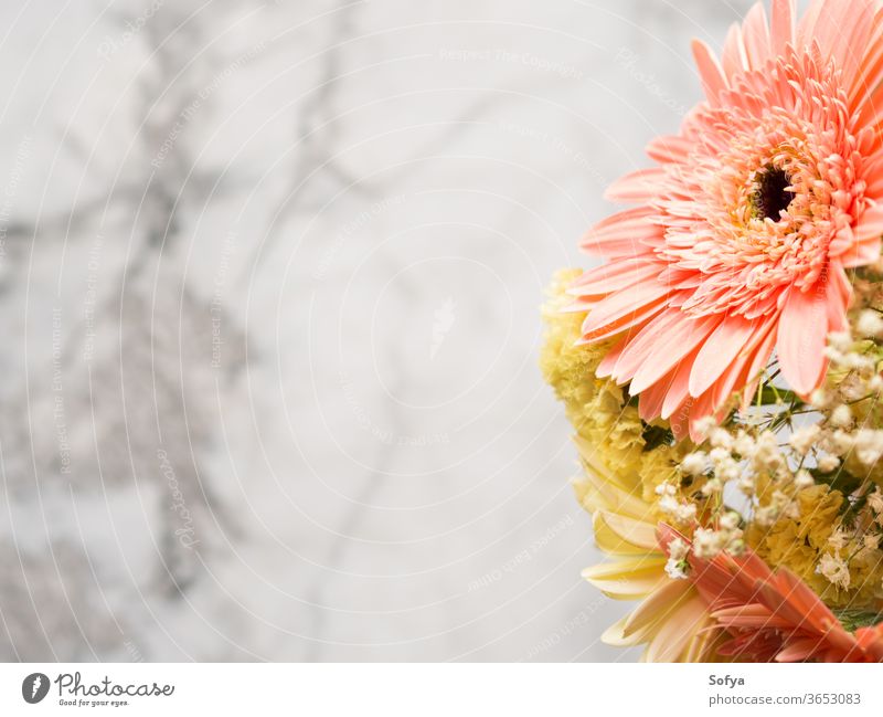 Blumenbouquet aus gelben und rosa Gerbera-Gänseblümchen Blumenstrauß Hintergrund Beerdigung Murmel Grußkarte Layout Muttertag Ordnung Sommer schön gerber