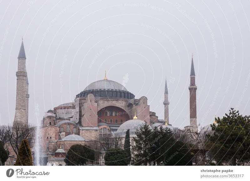 Hagia Sophia in Istanbul Türkei Moschee Architektur Sehenswürdigkeit Minarett Gebäude Kirche Museum Außenaufnahme Farbfoto Bauwerk Wahrzeichen