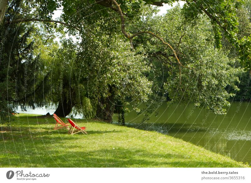 Rote Liegestühle unter einem Baum am Ufer eines Sees Liegestuhl Sommer Erholung Sonnenbad Sommerurlaub Tag Menschenleer Farbfoto Außenaufnahme baden Badeurlaub