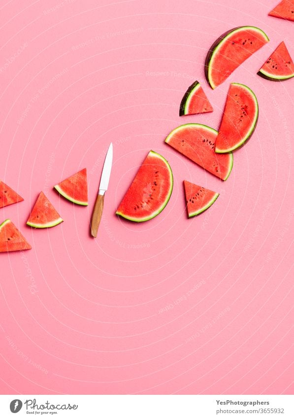 Wassermelonenscheiben liegen flach auf rosa Hintergrund. Frische Sommerfrüchte obere Ansicht angeordnet ausschneiden lecker Dessert Diät flache Verlegung