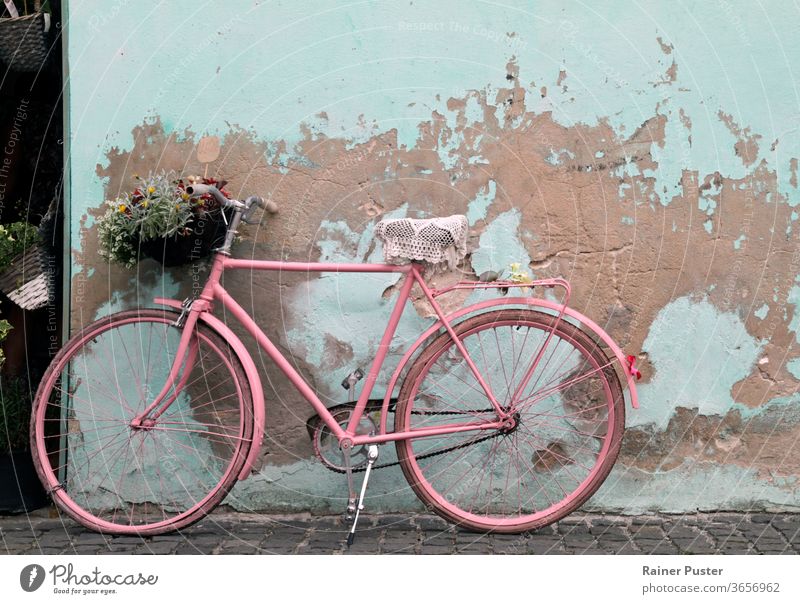 Rosafarbenes, an eine Wand gelehntes altes Fahrrad in Havanna, Kuba Antiquität Architektur klassisch Zyklus Grunge im Freien retro Straße rostig Sommer Verkehr
