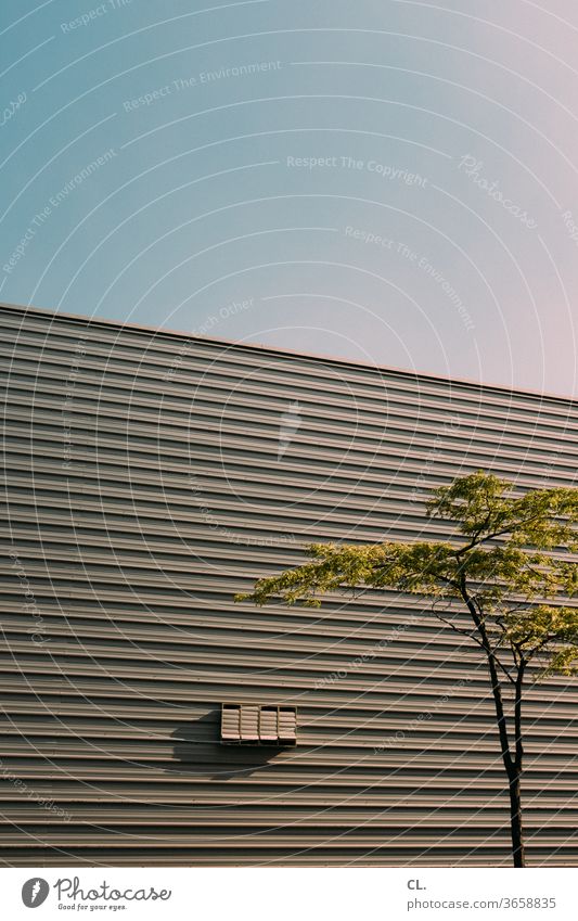 baum vor halle Baum Sommer Halle Himmel Architektur Natur Gewerbegebiet Industriegebiet Gebäude Lagerhalle Menschenleer Wolkenloser Himmel Schönes Wetter