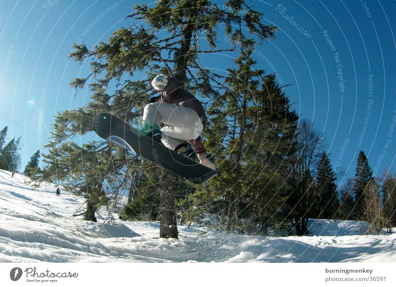 Board 3 Snowboard Wintersport springen Pulverschnee Winterurlaub Sport Schnee Berge u. Gebirge Sonne Snowboarding Nadelbaum hoch weit Geschwindigkeit
