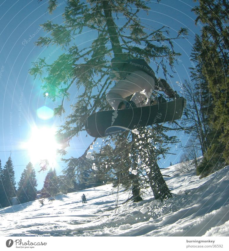 Board 2 Snowboard Wintersport springen Pulverschnee Winterurlaub Sport Schnee Berge u. Gebirge Sonne Nadelbaum Snowboarding Snowboarder Stil Freestyle hoch weit