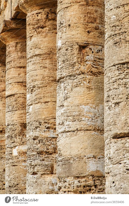 Die mächtigen Säulen des Tempels von Segesta stehen seit 2400 Jahren in der sizilianischen Sonne und über den Zweck rätseln die Experten. Italien Sizilien