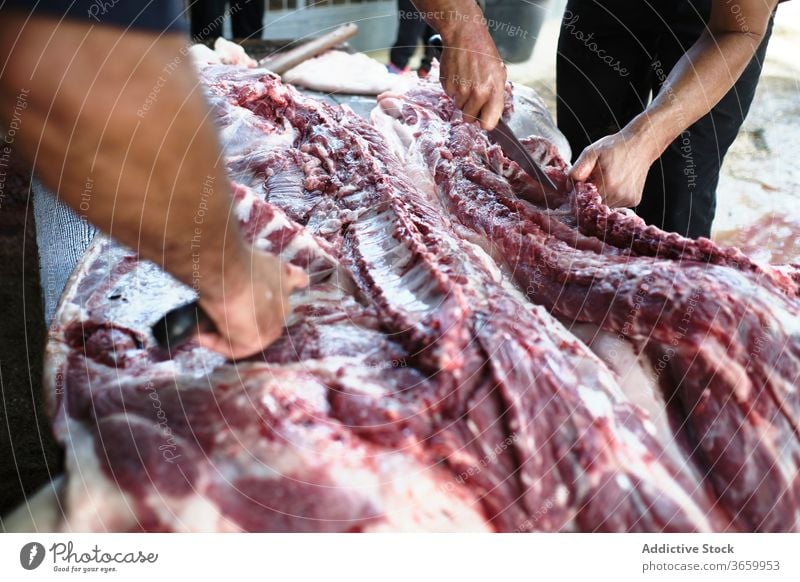 Erntehelfer, die Fleisch im Schlachthof zerlegen Menschen geschnitten Schlachtung Inszenierung Bauernhof Metzger vorbereiten Industrie Tradition Schweinefleisch