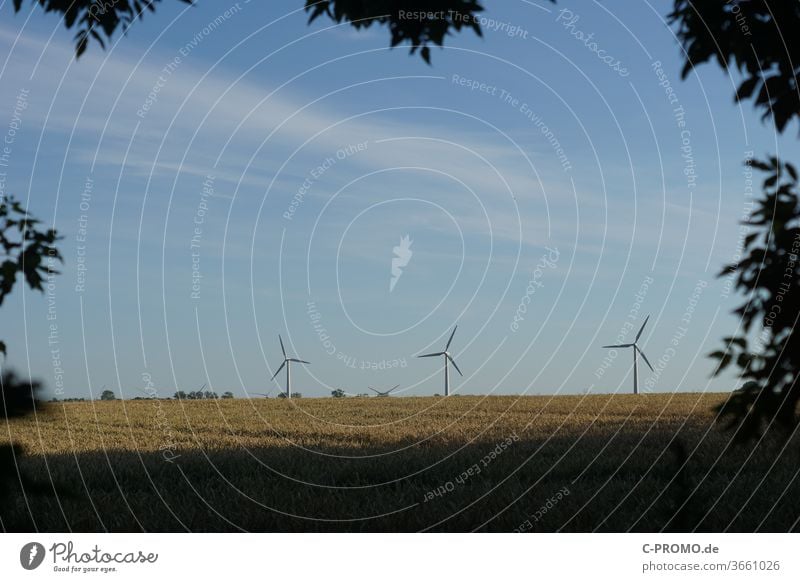 Windräder am Horizont Windrad Windradpark Getreidefeld Natur Windenergie ökostrom