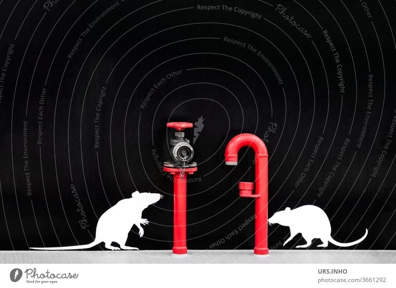 zwei kleine, niedliche Ratten wollen das Leitungsrohr und den Hydranten erklimmen - aber es sind nur aufgeklebte Attrappen Nagetiere weiß rot Rohr Rohrleitung