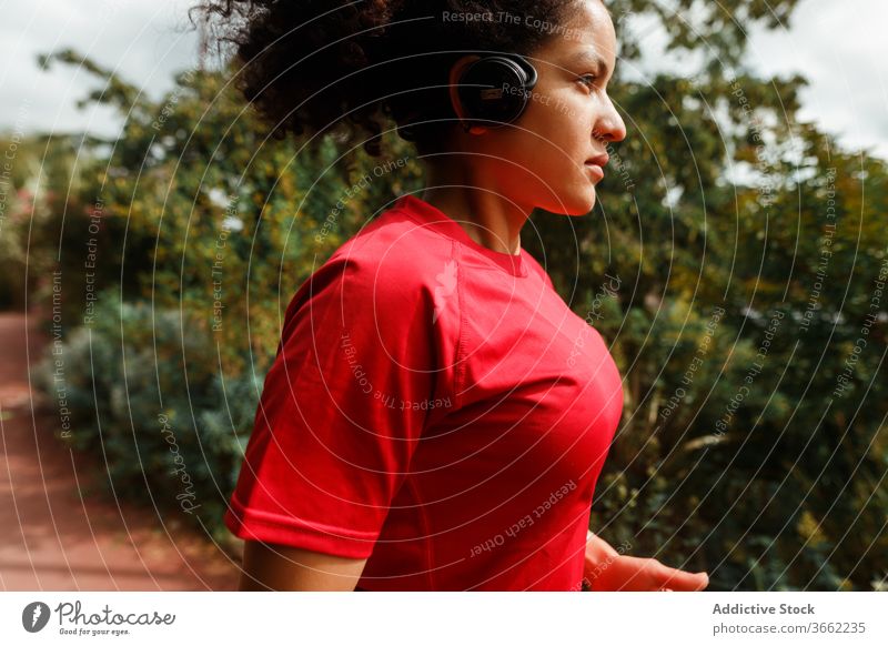 Ethnischer Läufer im Kopfhörer beim Joggen in der Nähe von Bäumen bei Tageslicht joggen Training Sport Konzentration Sportbekleidung Drahtlos benutzend Headset