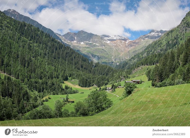 Wandern im Pflerschtal in Südtirol mit Almwiesen Tal Wiese Berge Alpen Idylle Hang Nadelwald Fichten Himmel Wolken grün Berge u. Gebirge Landschaft Wanderlust