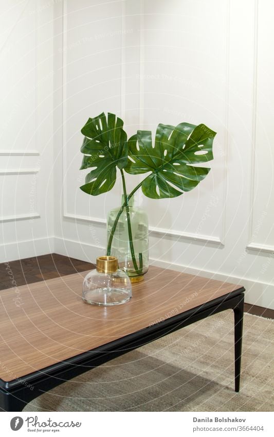 Monstera-Blätter in Glasvase auf einem Holztisch in einem eleganten Interieur boiserie Großstadtdschungel Monstera deliciosa teuer lebend Wand Laubwerk Stil