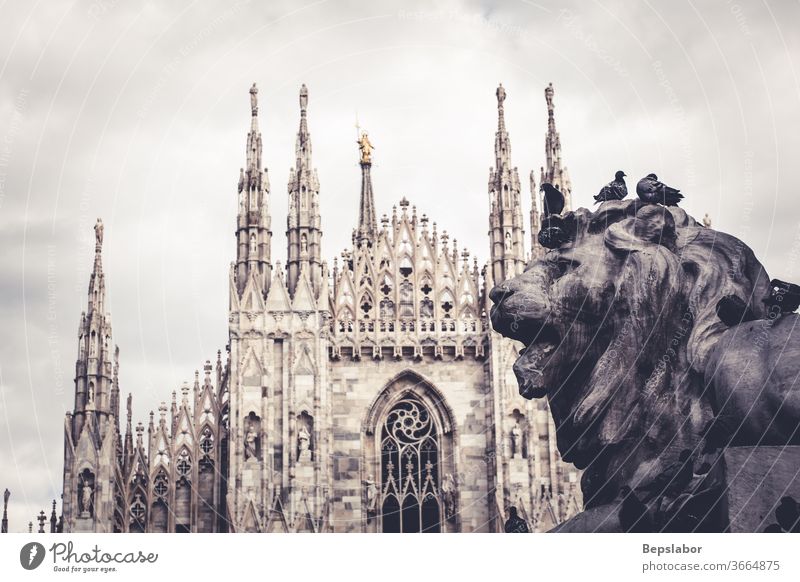 Nahaufnahme des Denkmals "Löwe von Vittorio Emanuele II", im Hintergrund der Mailänder Dom Christentum Anatomie antik Tier Antiquität Architektur Kunst