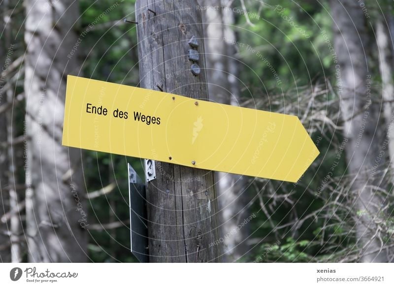 Ende des Weges verkündet das gelbe Schild  im Wald Wegweiser Wege & Pfade Schilder & Markierungen Richtung Hinweisschild Zeichen xenias