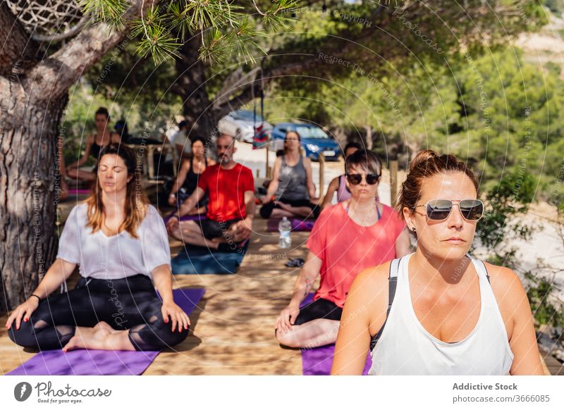 Verschiedene Menschen während der Yogastunde im Garten meditieren padmasana Lotus-Pose Sommer Park Gesundheit Wellness Lektion üben Übung Asana Harmonie