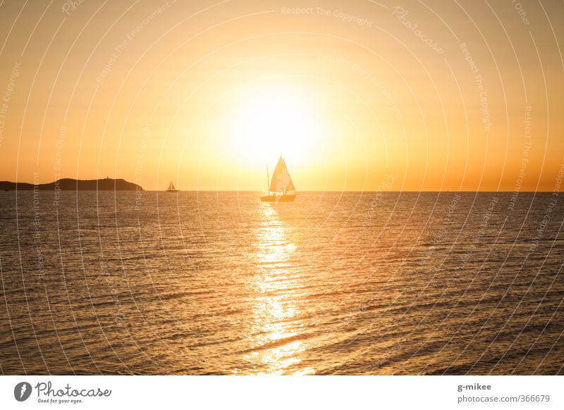 Goldener Sonnenuntergang Sommer Sommerurlaub Meer Segeln Natur Wasser Mittelmeer Schifffahrt Segelboot Segelschiff Bewegung Sport frei Unendlichkeit natürlich
