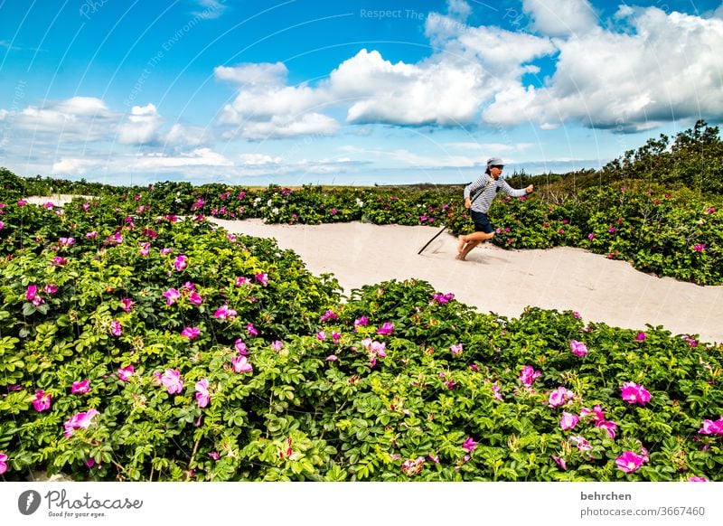 strandläufer Strand Meer Düne Darß Ostsee Blumen Himmel Wolken Natur Landschaft Küste Farbfoto Außenaufnahme Ferien & Urlaub & Reisen Kind Kindheit Spaß haben