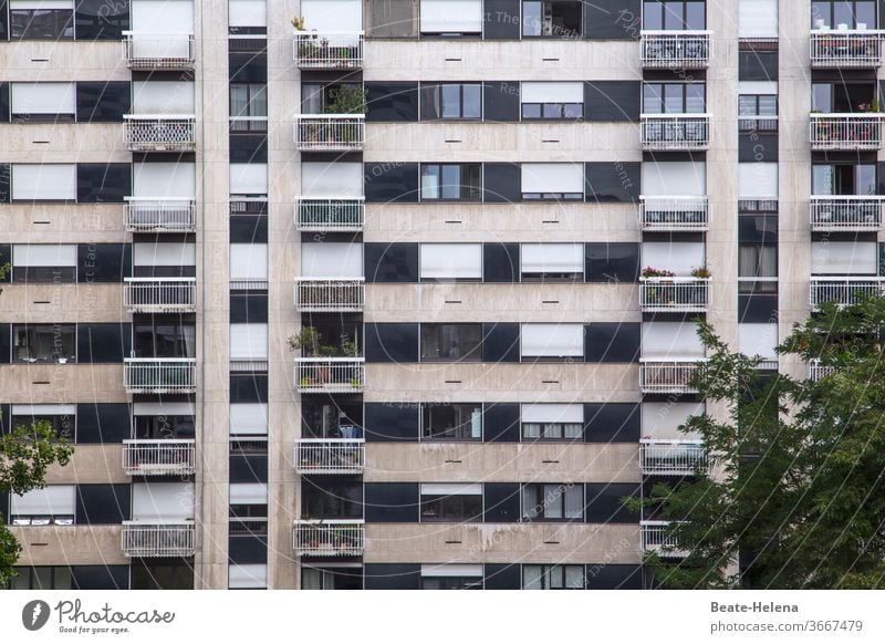 Paris - Wohnkomplex im 15. Arrondissement mit Bäumen und Balkonbepflanzung Wohnblock Individualisierung konform Grünpflanze Stadtbezirk Naturerlebnis grün