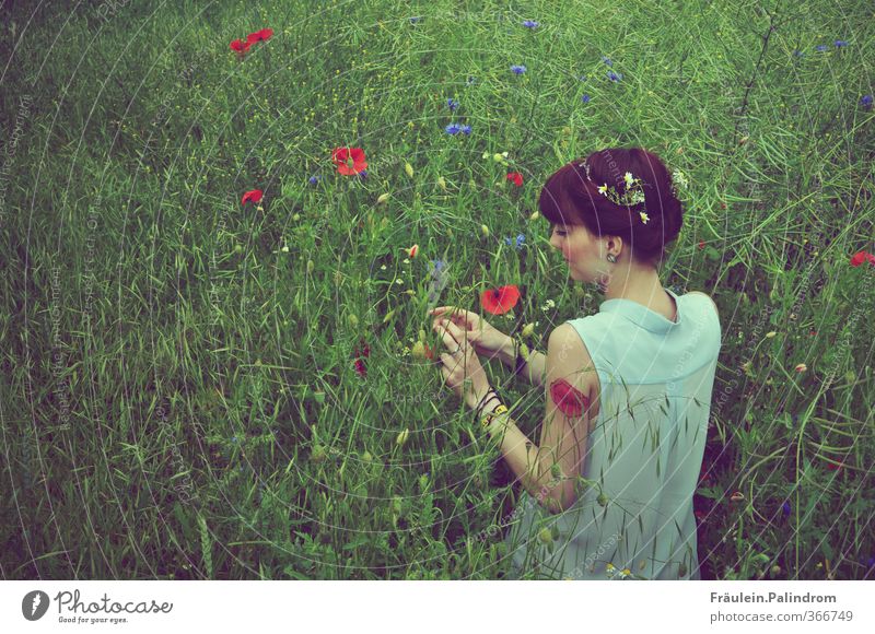 verwurzelt II. Mensch feminin Junge Frau Jugendliche Erwachsene Arme 1 18-30 Jahre Natur Landschaft Pflanze Frühling Sommer Wetter Gras Sträucher Nutzpflanze