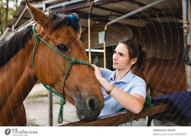 Junge Reiterin beim Bürsten eines Hengstes auf einer Ranch Pferd Frau Pflege Lächeln Kastanie Tier Werkzeug Gerät pferdeähnlich jung beschäftigt Jockey Besitzer