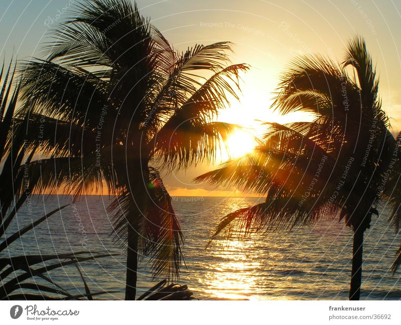 Sonnenaufgang an der Küste von Fort Lauderdale Florida Amerika Palme Strand Miami USA